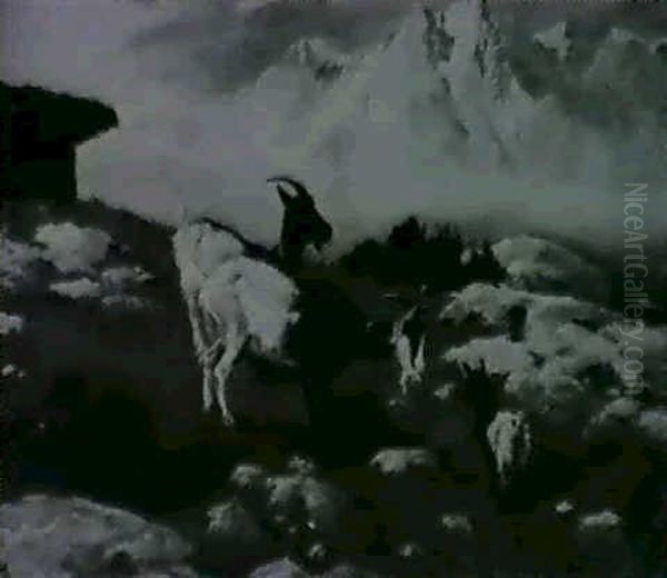 Ziegen Auf Einer Alm - view 1