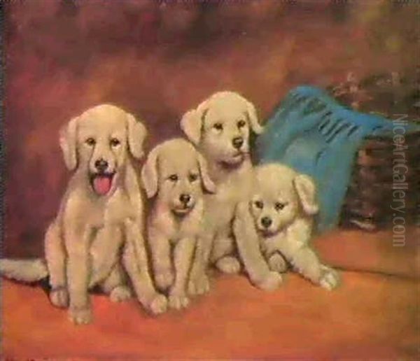 Vier Junge Hunde - view 1