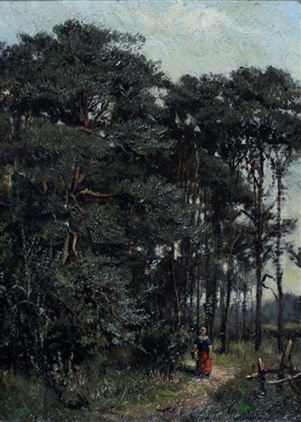 Vrouw Met Emmer Op Een Bospad - view 1