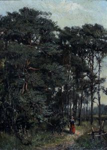 Vrouw Met Emmer Op Een Bospad