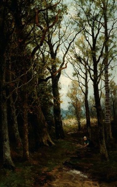 A Woman Gathering Wood In A Forest - view 1