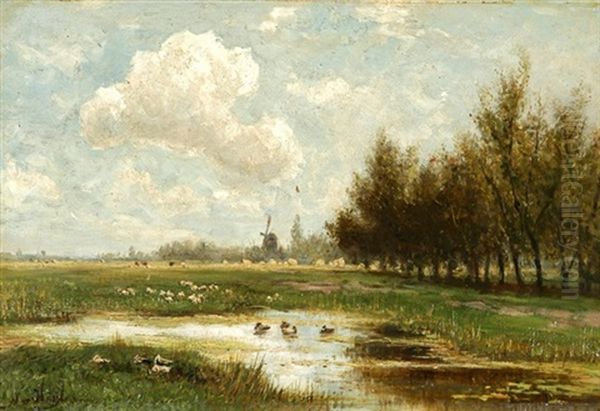 Teichlandschaft Mit Enten, Im Hintergrund Eine Windmuhle - view 1