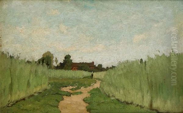 Sentier Entre Les Bles - view 1