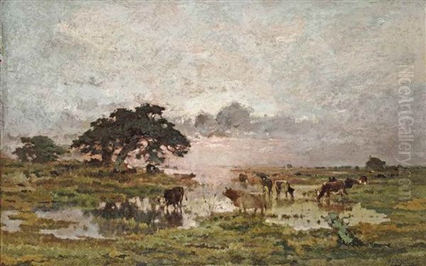 Marais En Campine - view 1