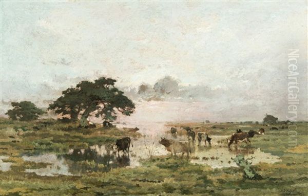Marais En Campine - view 1