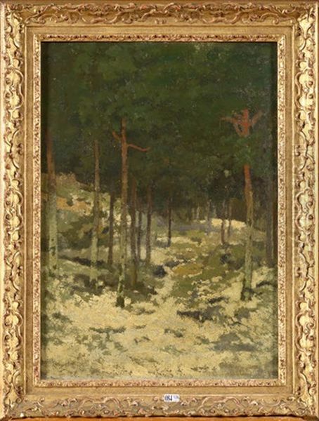 L'oree Du Bois - view 1