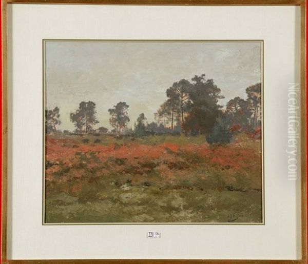 Paysage Aux Bruyeres - view 1