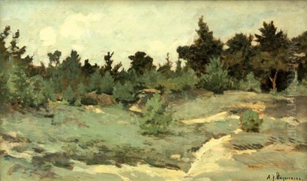 Path Through The Woods - view 1