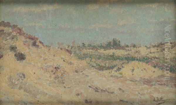 Dunes - view 1