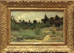 Landscape