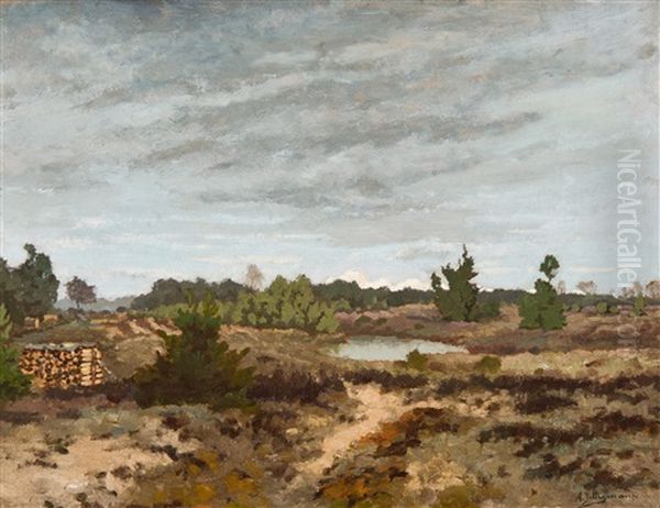 Paysage De Lande A Bruyere - view 1