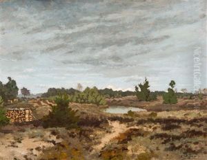 Paysage De Lande A Bruyere Paysage De Lande A Bruyere
