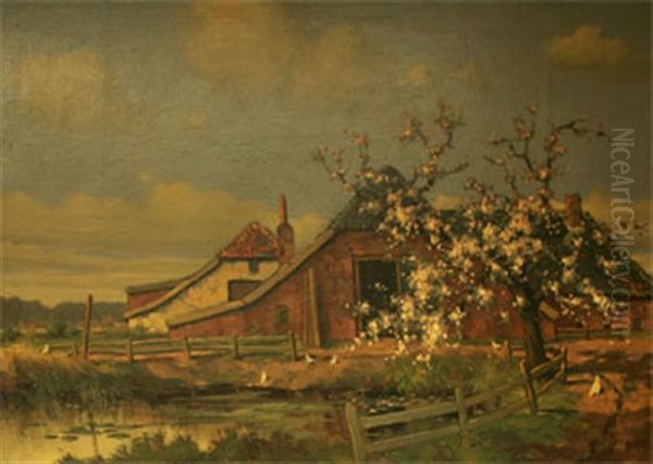 Blommande Frukttrad Vid Bondgard - view 1