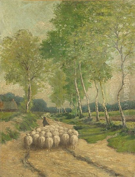 Herder En Schapen In Dreef - view 1
