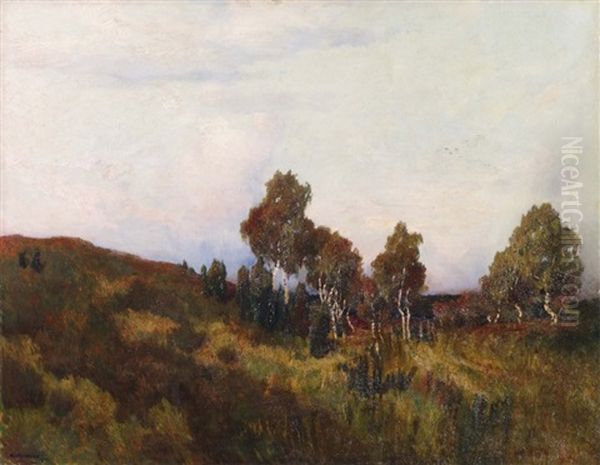 Paysage - view 1