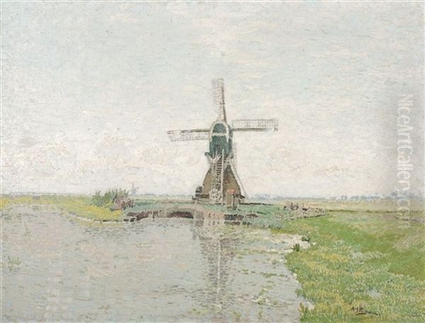 Zicht In Zeeland, Omgeving Veere - view 1