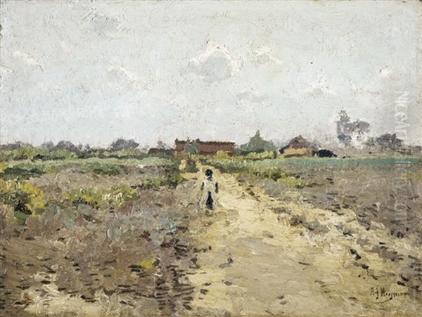 Zomer Te Kalmthout - view 1