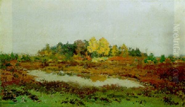 Paysage En Campine - view 1