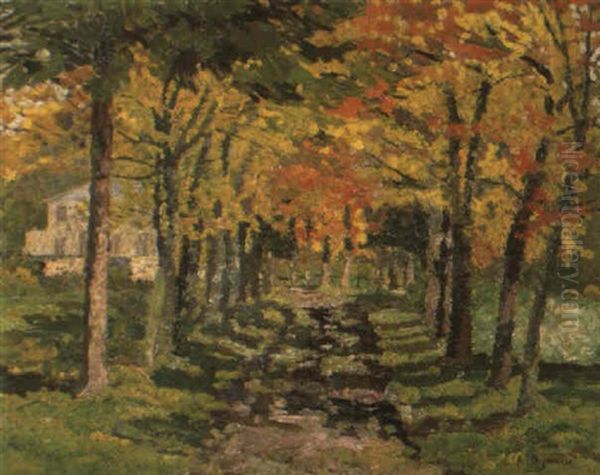 Dreef In De Herfst - view 1