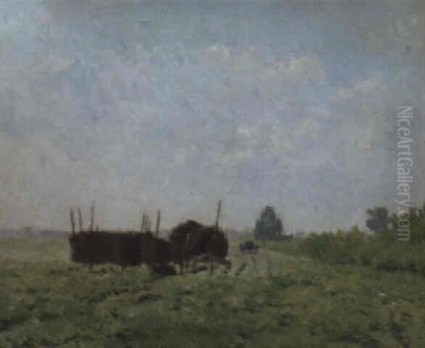 Sommerwiese - view 1