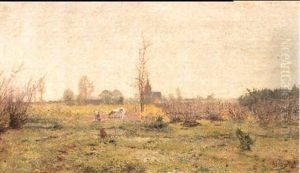 Paysage D'ete