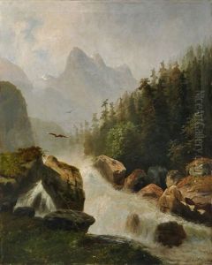Wildwasser Im Gebirge