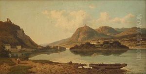Blick Auf Insel Nonnenwerth Mit Klosteranlage
