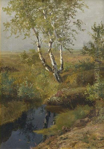 Fruhlingslandschaft Mit Birke An Einem Weiher - view 1