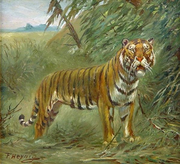 Tiger - view 1