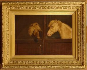 Chevaux Au Box
