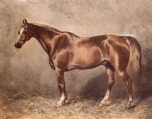 Etude De Cheval Alezan - view 1