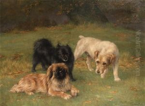 Best Of Friends by Tom Heywood
