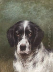 The Head Of An English Setter by Tom Heywood