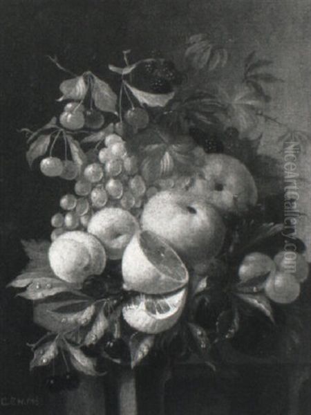 Still Life Of Various Fruits - view 1