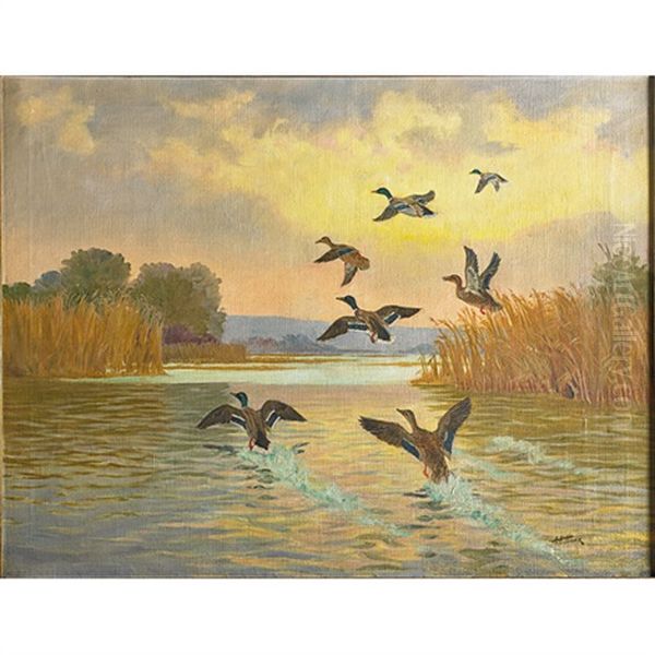 Ducks In Flight - view 1