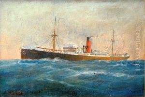Portrait Du Cargo "zenon"
