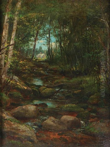 Stream Through The Woods - view 1