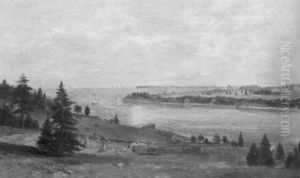Glen Cove Near Rockland, Maine - Haying Time