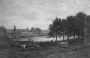 Pastures Of Grazing Cattle