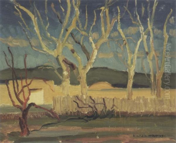 Bak Trees - view 1