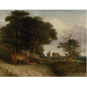 Deer At The Edge Of A Clearing At Sunset by William John Higgins