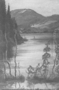 Schluchsee by Adolf Hildenbrand