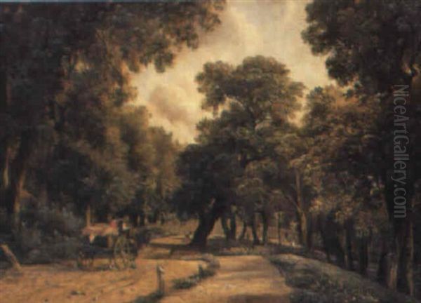 Petersham Lane - view 1
