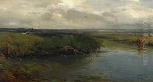 Weite Hollandische Weidelandschaft