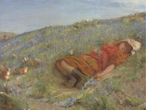 Asleep In The Meadow by Edgar Barclay