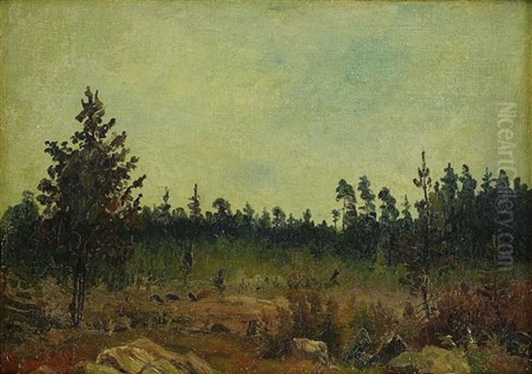 Granskog Ii - view 1