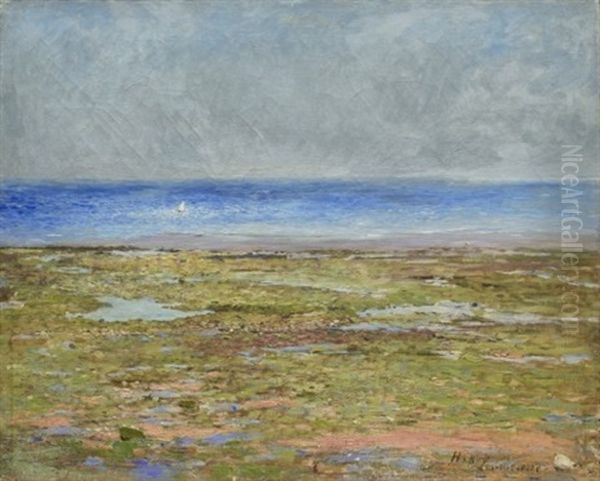 Havsbris - Luc-sur-mer - view 1