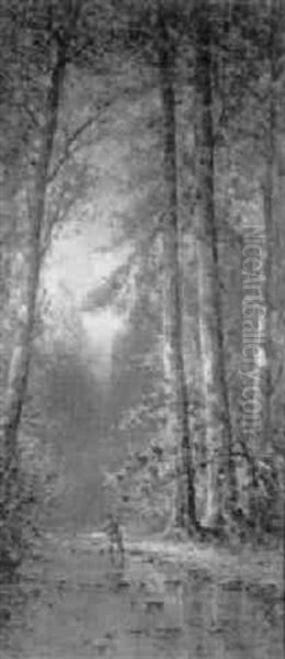 Rich Summer Landscape With Flowing Stream, Fly Fisherman After The Cast - view 1