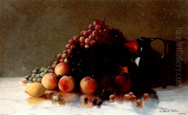 Still Life - view 1