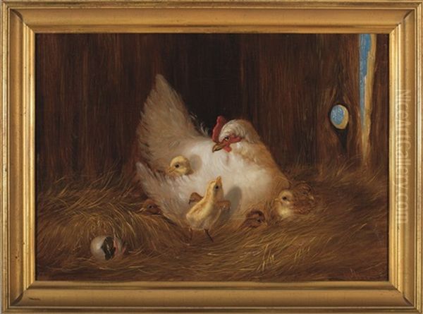 Mother Hen With Chicks - view 1
